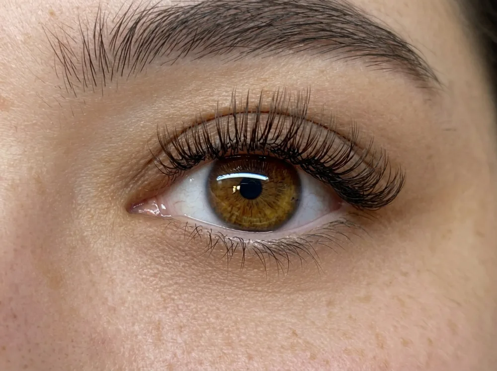 Brown lash extensions